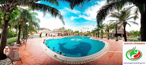 Hình ảnh hồ bơi Văn Thánh